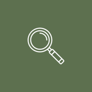 Plan 2: Descubrimiento + Identificación (3 meses)